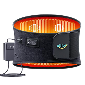 ALLJOY Plug-In Heating Pad Back Massager