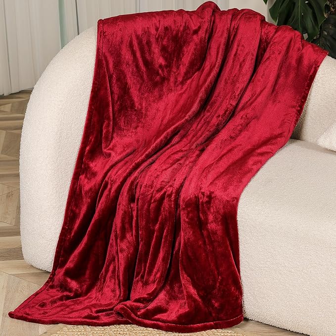 ALLJOY Heated Blanket